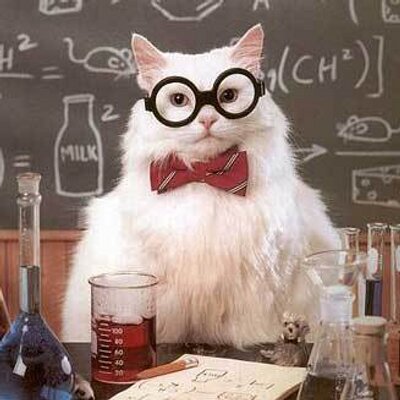 Esteemed scientist and cat working in his laboratory converting units with a calculator.